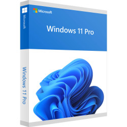 Microsoft Windows 11 Professional 32/64 bit  (5 Users) ESD