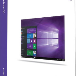 Microsoft Windows 10 Pro 32/64-bit ESD (FQC-09131) Retail 5 χρήστες