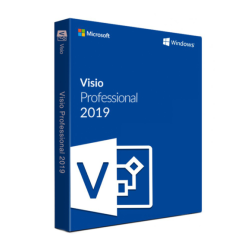 Microsoft Visio 2019 Professional (PC)